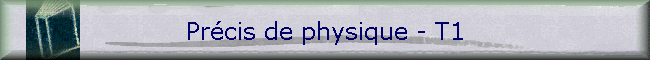 Prcis de physique - T1