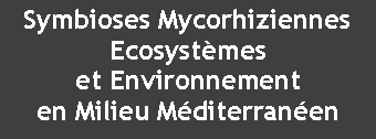 Zone de Texte: Symbioses MycorhiziennesEcosystmes et Environnement en Milieu Mditerranen 